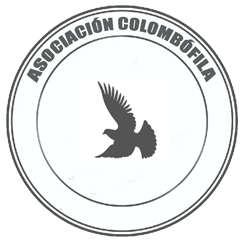 Club Colombofilo Columbus